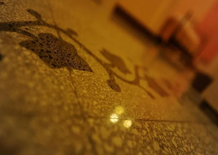 Barone Bed & Breakfast